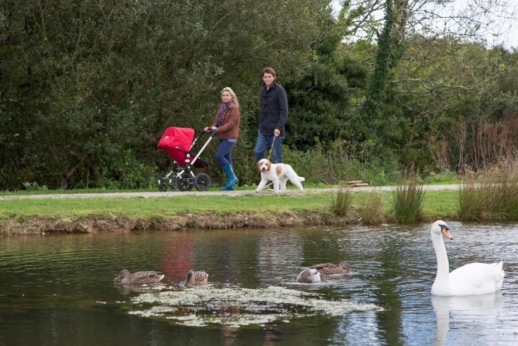 Skylark Sleeps 8 Private Hot Tub & Dogs Welcome Nr Padstow, Resort Pool Bar & Watersports St Columb Major Exteriér fotografie